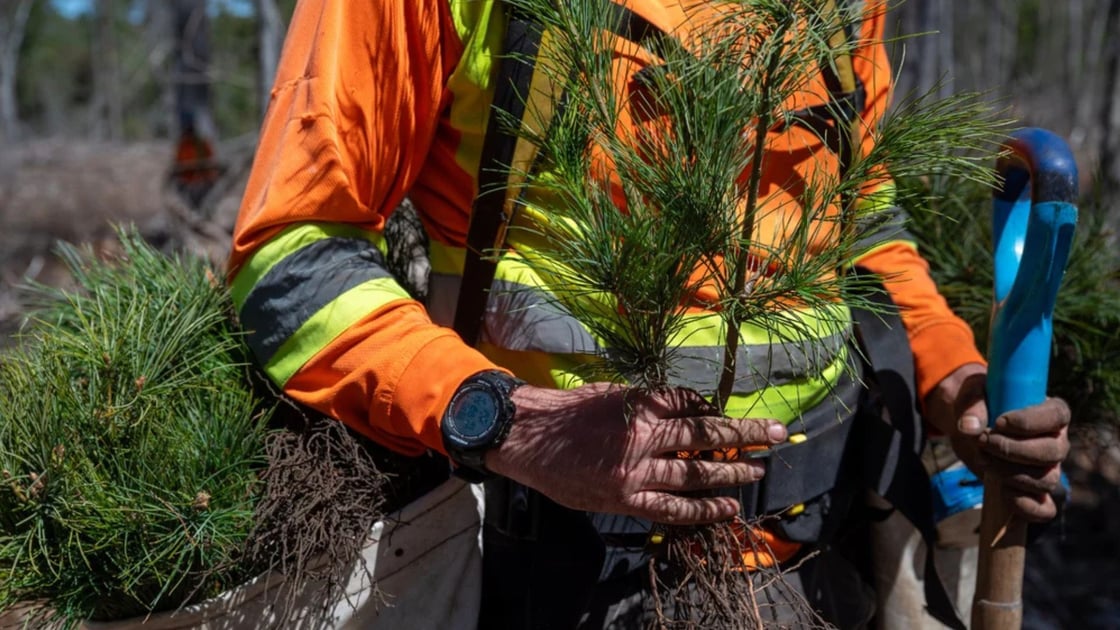 1-Mar-18-2026-07-09-10-9083-PM