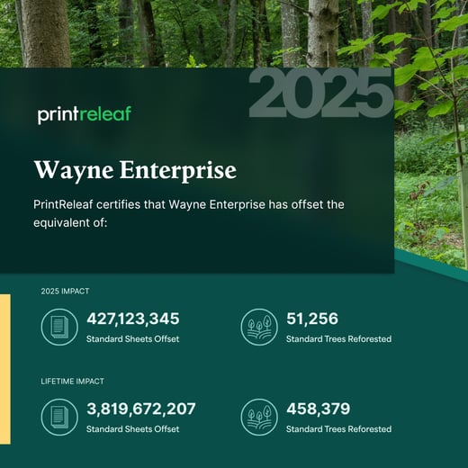 2025 annual impact sample