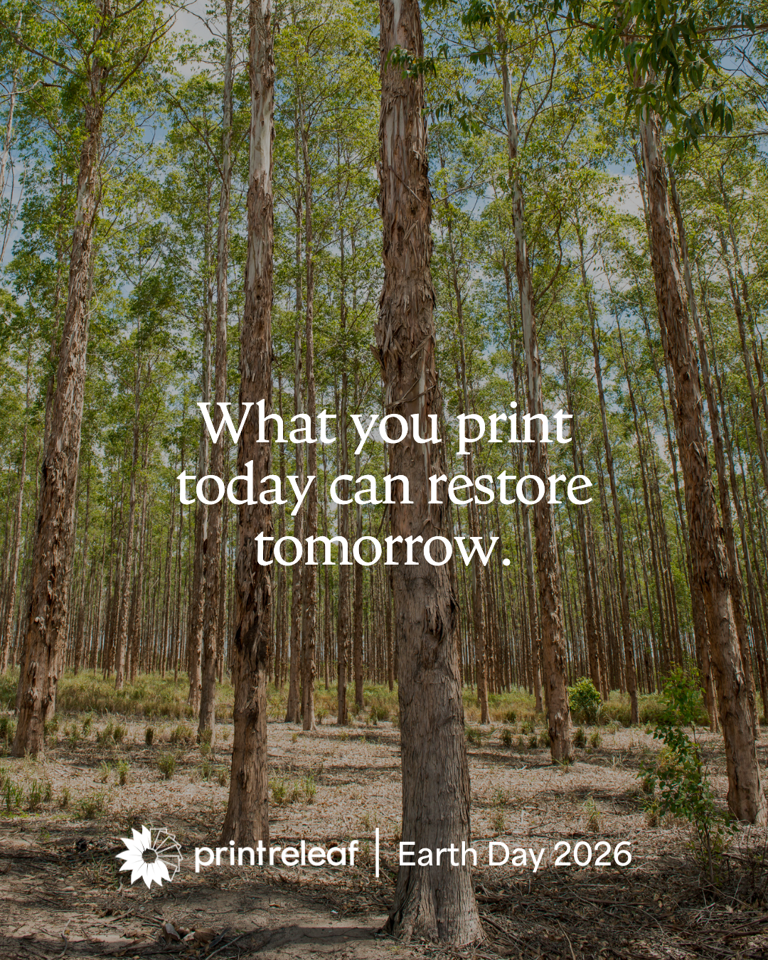 3-PrintReleaf Earth Day Impact 2026 3-PrintReleaf Earth Day Impact 2026