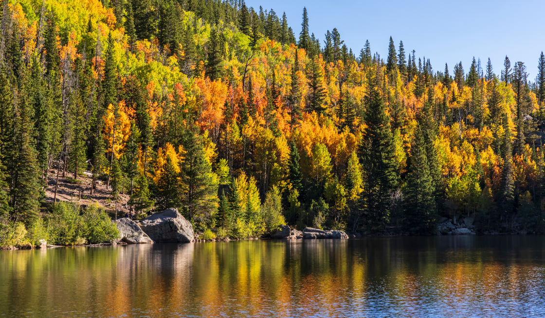 AdobeStock_1138513515