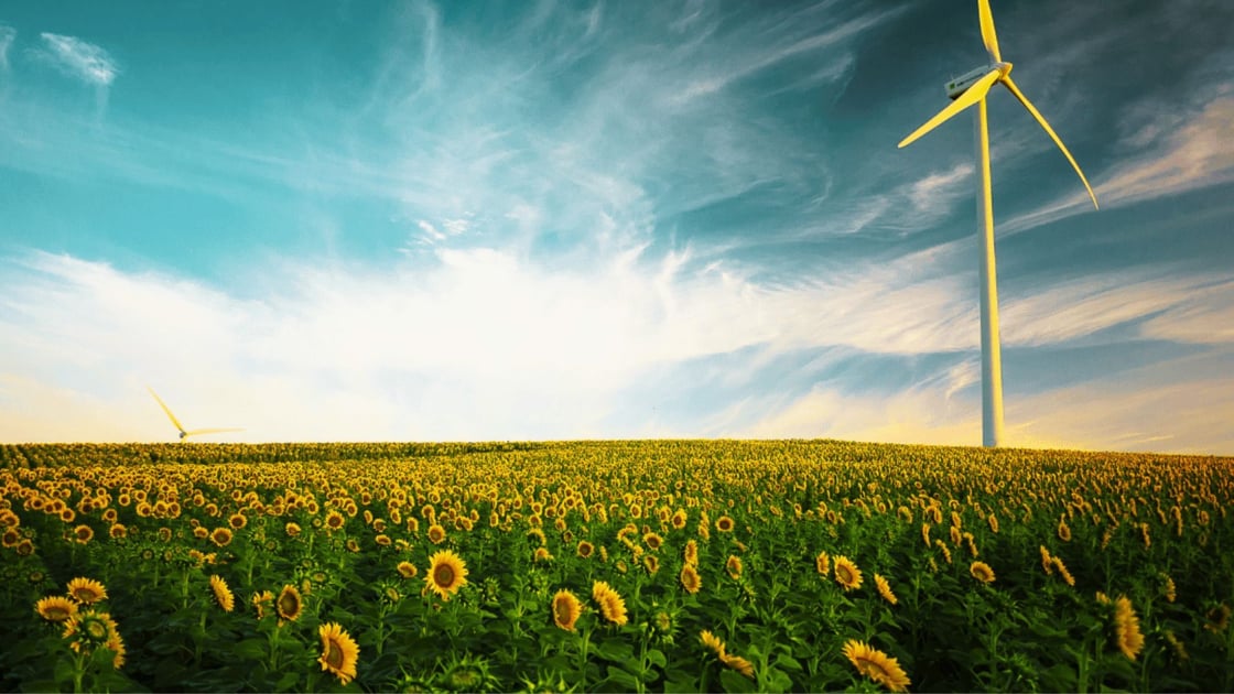 Copy of RCI Updated Marketing Strategy Presentation-1