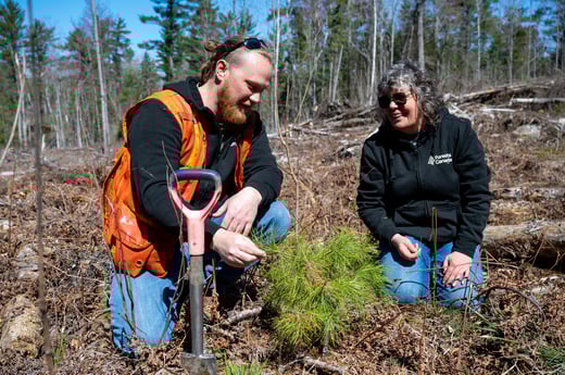 ForestsCanada_2025_Photo6
