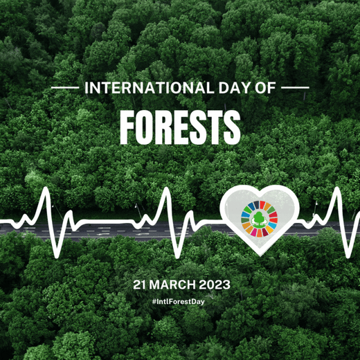 Forests_and_Health UN International Forest Day