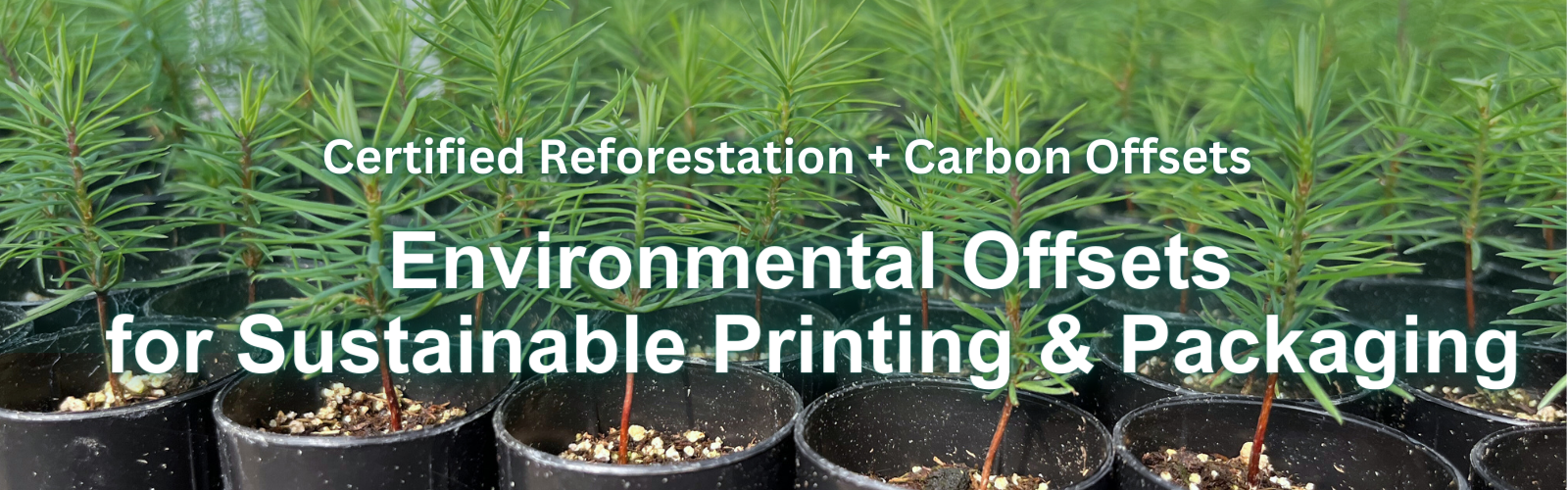 Replant Forests While You Print (800 × 924 px) (1600 × 500 px)-2