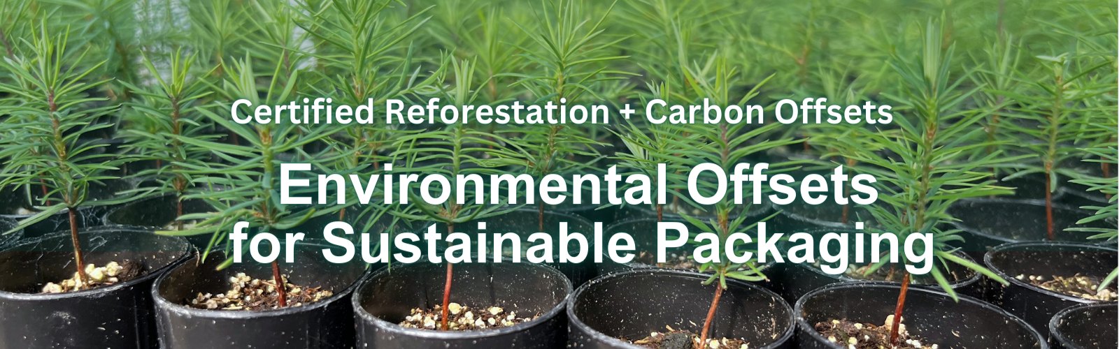 Replant Forests While You Package and Print