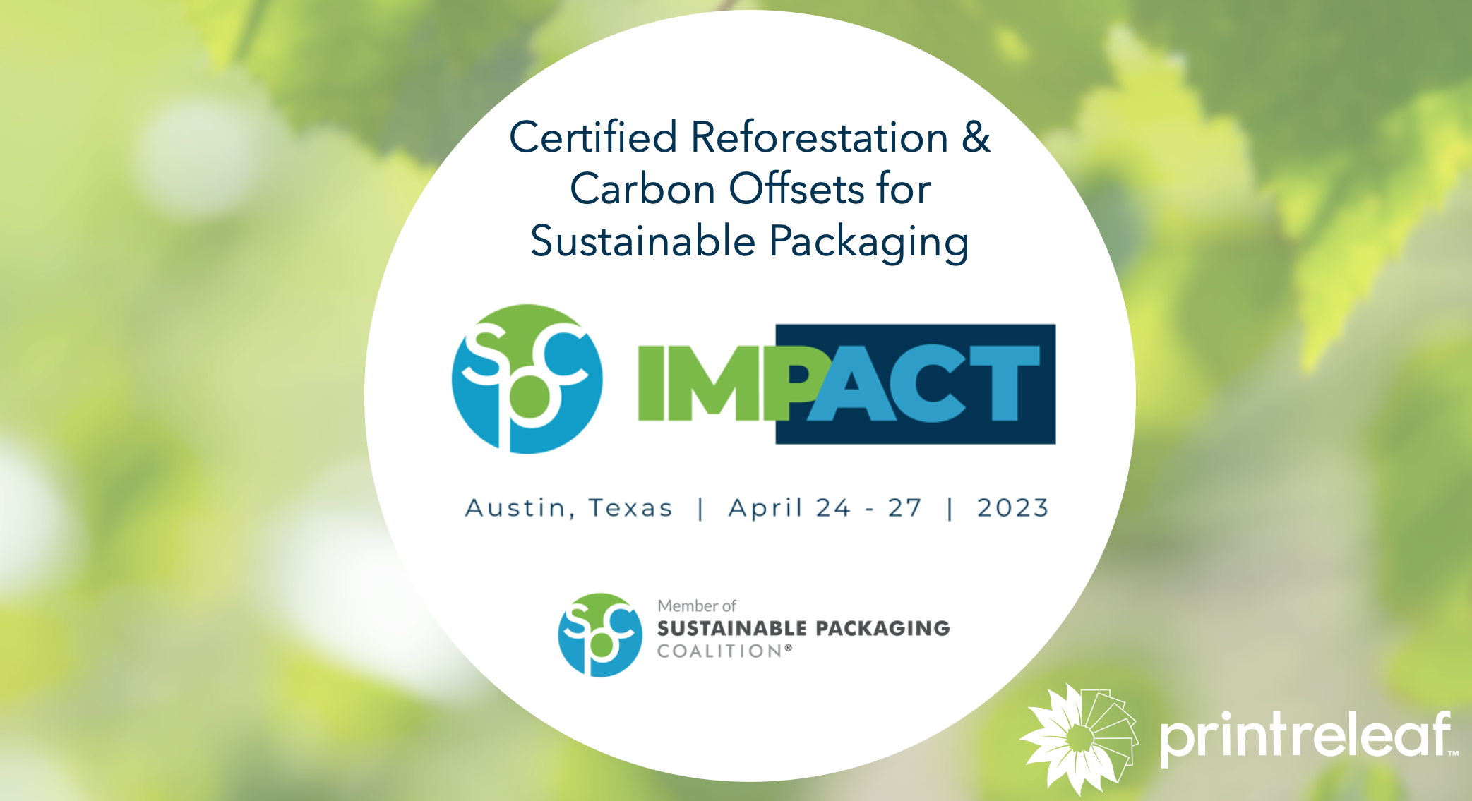 Certified Reforestation and Carbon Offsets for Sustainable Packaging