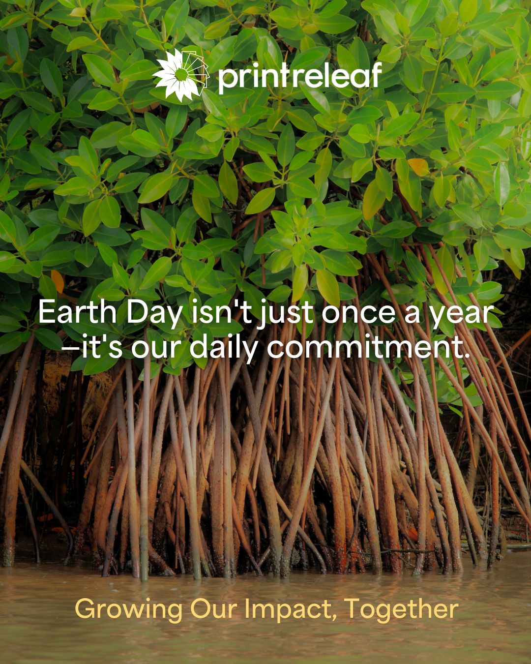 Earth Day 2025 with PrintReleaf