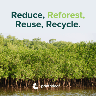 Reduce, Reforest, Reuse, Recycle