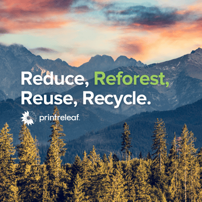 Reduce, Reforest, Reuse, Recycle