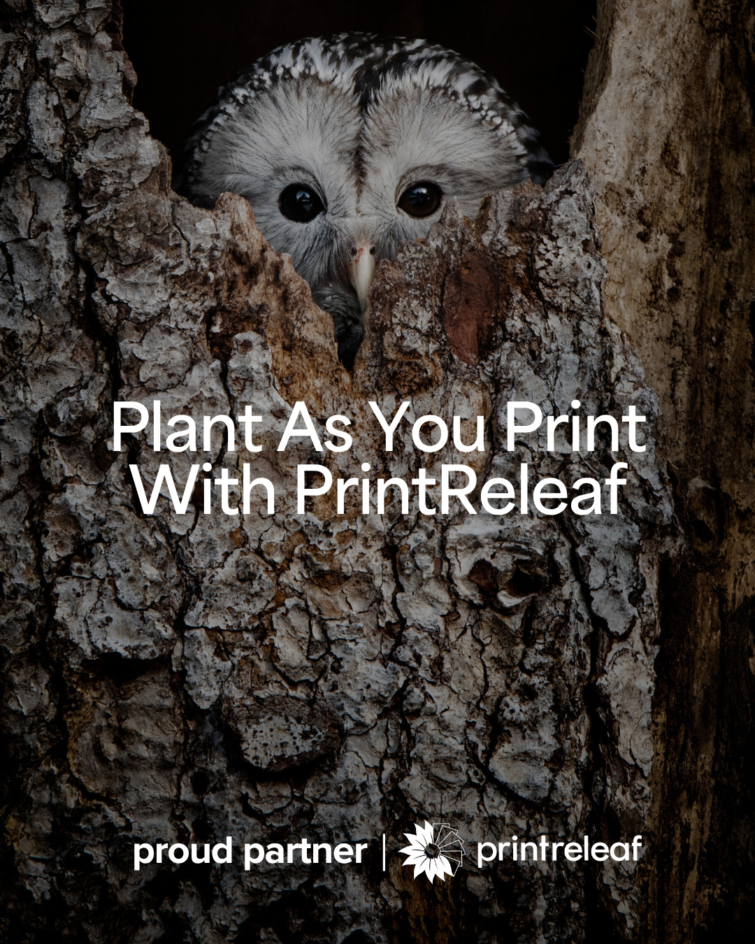 Plant as you print with PrintReleaf