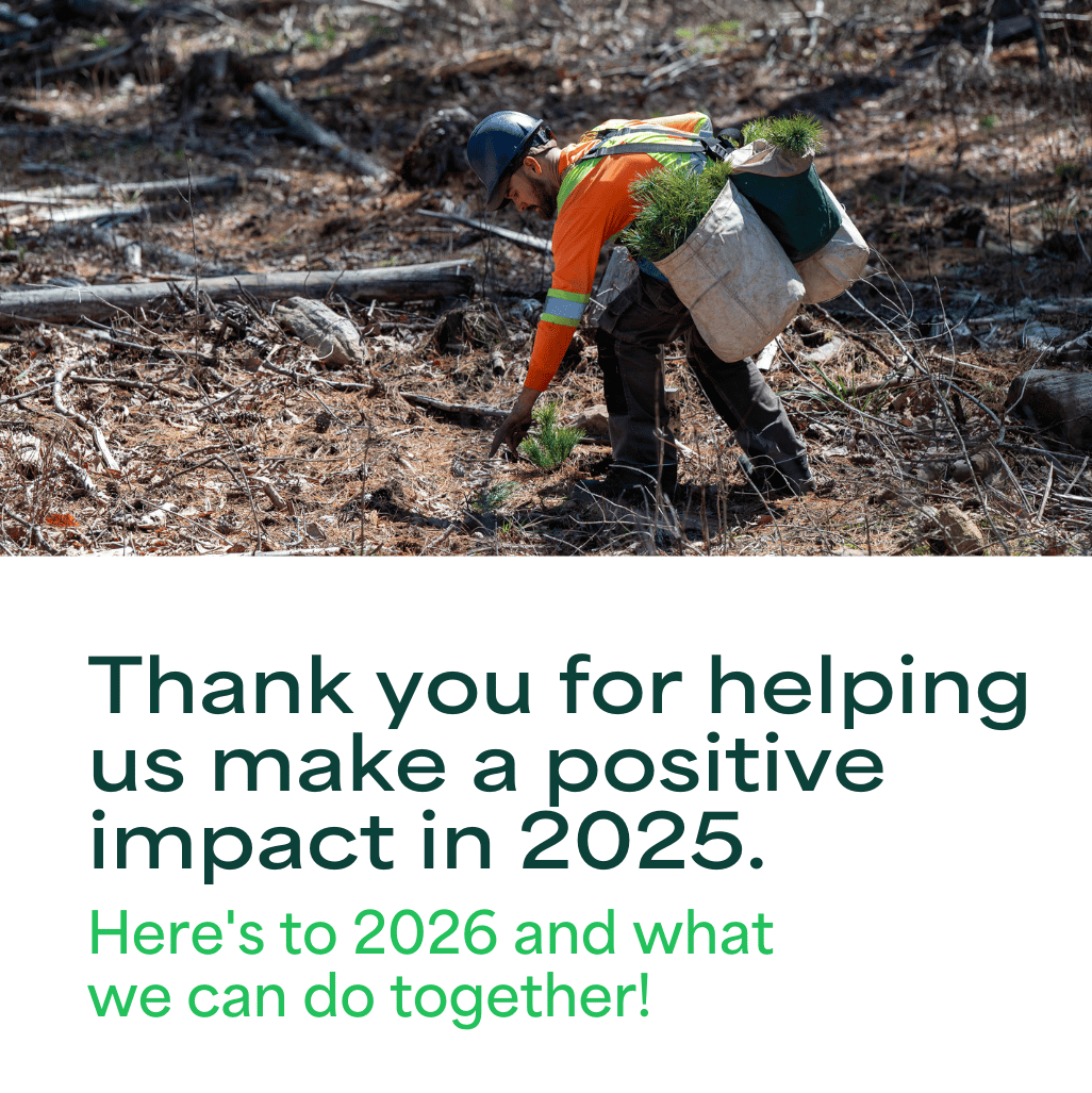 Report Thank You to our Partners