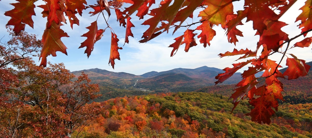 f477da54-e1b4-41ef-b3a1-60e40262addd-AdirondacksFoliage1.jpg copy