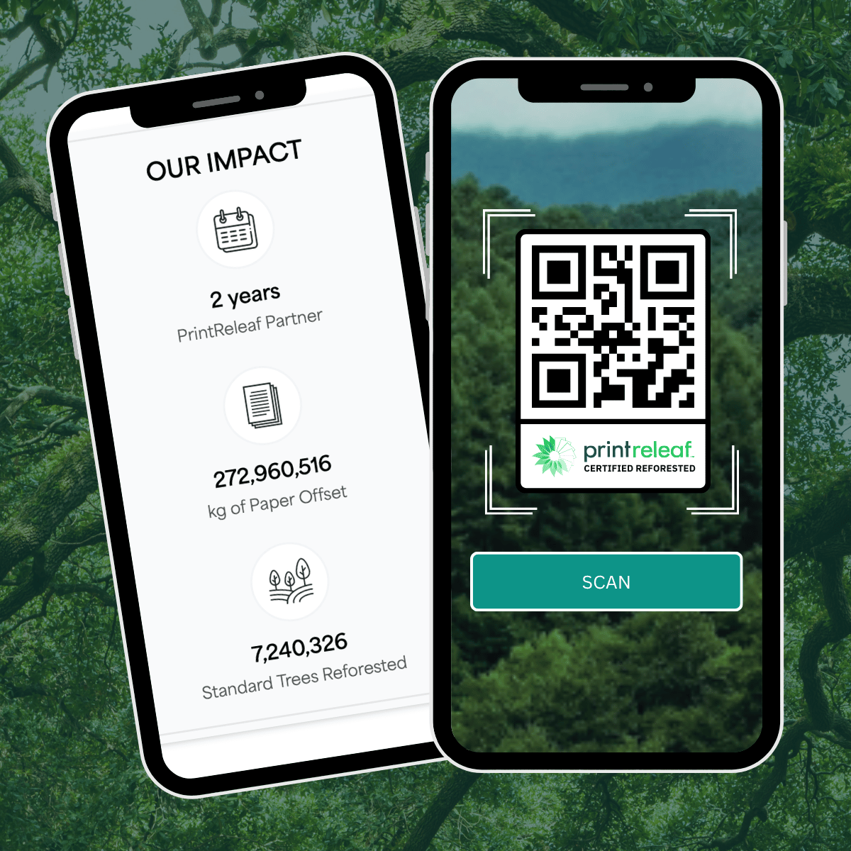 phone dashboard + QR code